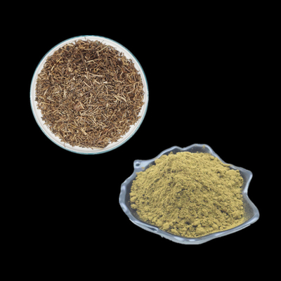 Ajuga Turkestanica del suplemento del polvo del extracto del 2% el 10% el 20% el 40% Turkesterone