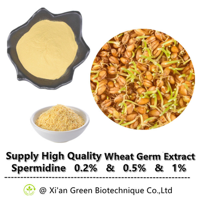 El extracto natural al por mayor Spermidine del germen de trigo del suplemento de la comida pulveriza 0,2% 0,5% 1%