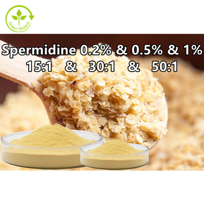 Suplemento Spermidine de la comida del polvo de la espermina del extracto del germen de trigo 0,1% 0,5% 1%
