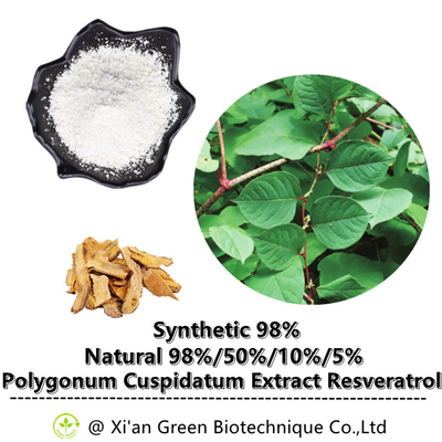 Extracto Tran Resveratrol Powder de la planta el 99% para el producto sano del cuidado