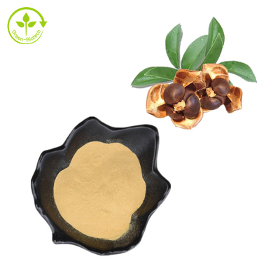 Polvo natural de las saponinas del té del 100% Camellia Seed Extract el 95%
