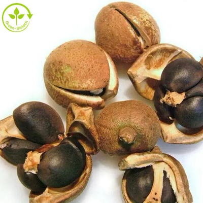 La saponina de Camellia Sinensis Seed Extract Tea pulveriza el 50% el 60% el 70% el 80% el 85% el 90% el 95% el 98%