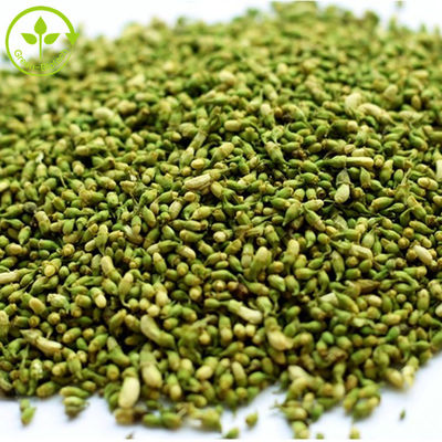 El Sophora Japonica de la categoría alimenticia extrae el polvo puro de la quercetina del 95%