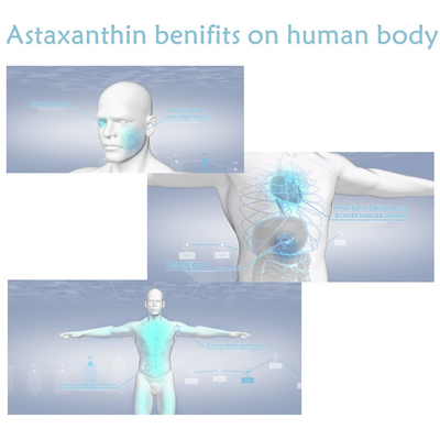 Suplementos antioxidantes del polvo de la astaxantina del extracto el 10% del Pluvialis de Haematococcus