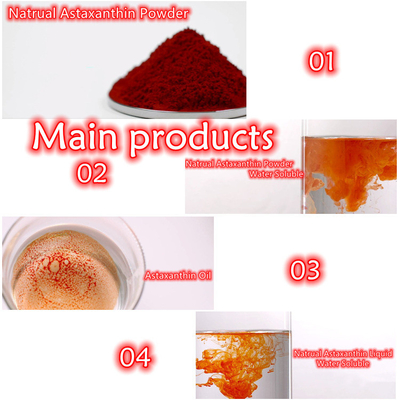 Suplementos antioxidantes del polvo de la astaxantina del extracto el 10% del Pluvialis de Haematococcus
