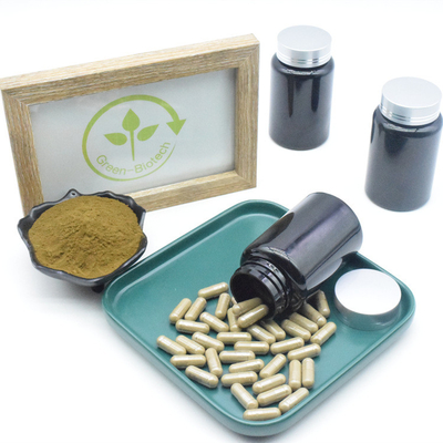 Cápsulas puras del suplemento el 10% el 40% 500mg Turkesterone del extracto de Turkestanica del Ajuga