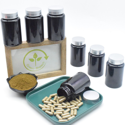 El Ajuga Turkestanica extrae las cápsulas de 500mg el 10% Turkesterone para el suplemento de los músculos