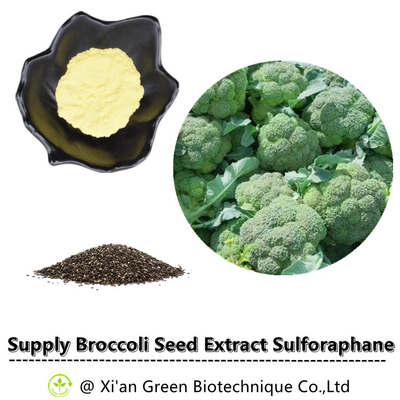 Polvo de CAS 21414-41-5 el 13% Glucoraphanin del glucosinolato de Sulforaphane del extracto de la semilla del bróculi