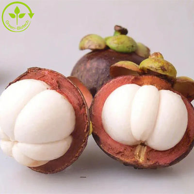 Alpha Mangostin polvo natural del extracto de la fruta del mangostán de los extractos de la planta del 10% - del 95%