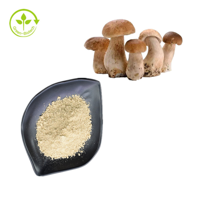 Polvo puro natural el 99% del boleto de Penny Bun Porcini Mushroom Extract