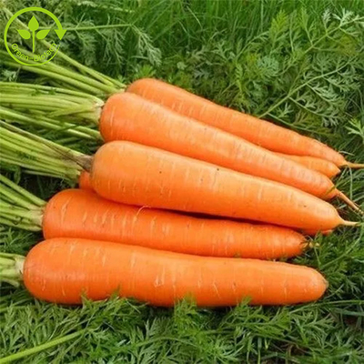 Aditivos alimenticios que colorean el fermento Beta Carotene Powder el 10%