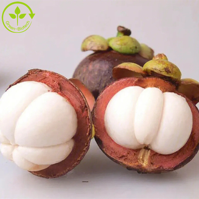 Polvo natural puro del extracto del mangostán p.e-alpha-mangostin 10%-90% Alpha Mangostin del extracto del mangostán