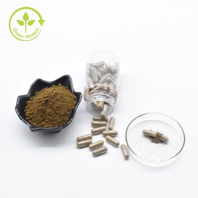 El Ajuga puro Turkesterone de la etiqueta privada del polvo de Turkesterone el 40% de la venta al por mayor de la fábrica encapsula 500mg