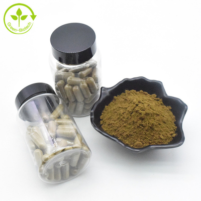 El extracto de Turkestanica del Ajuga del extracto de la planta pulveriza cápsulas del 10% 500mg/60caps/Bottle Turkesterone