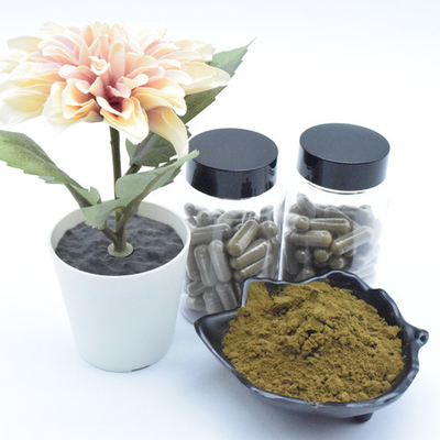 El extracto puro de Turkestanica del Ajuga del suplemento pulveriza cápsulas del 40% 500mg Turkesterone