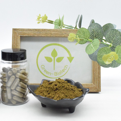 Extracto natural de Turkestanica del Ajuga del polvo el 2% el 10% el 40% del 100% Turkesterone