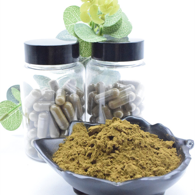 Extracto natural de Turkestanica del Ajuga del polvo el 2% el 10% el 40% del 100% Turkesterone