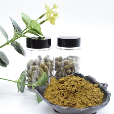 El Ajuga de calidad superior Turkesterone pulveriza 10 que Turkesterone extrae el extracto de la planta de Turkesterone