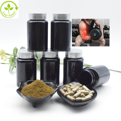 Polvo a granel al por mayor de Turkesterone del extracto del extracto el 2% el 10% CAS 41451-87-0 Turkesterone de Turkestanica del Ajuga