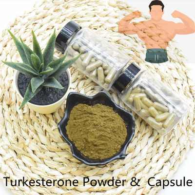 Extracto rápido de calidad superior del polvo de Turkesterone de la entrega
