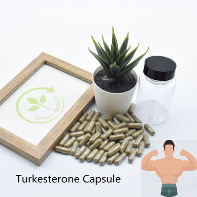 Polvo de alta calidad del extracto de Turkesterone del Ajuga de Turkesterone