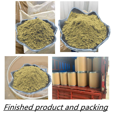 El Ajuga de calidad superior Turkesterone pulveriza el extracto Turkesterone del 10% Turkesterone