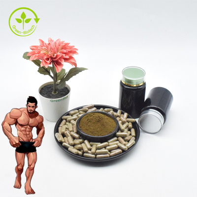 El Ajuga de calidad superior Turkesterone pulveriza el extracto Turkesterone de 10 Turkesterone