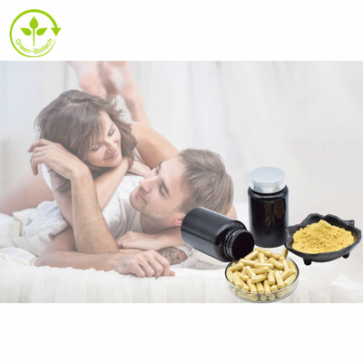Polvo el 1% el 3% el 5% el 10% Tongkat Ali Extract de Tongkat Ali Capsules 500mg/60caps/Bottle Eurycomanone del extracto de la planta