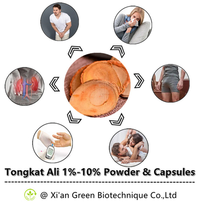 Vigor y energía orgánicos de Tongkat Ali Capsules Eurycoma Longifolia Tongkat Ali Root Extract Capsules Supports