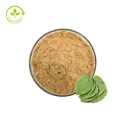 polvo natural del extracto del Epimedium de Icariin el 98% del extracto del Epimedium del 20% el 30% Icaritin