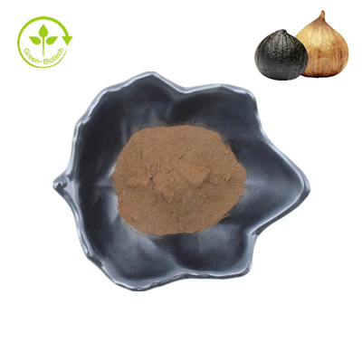 Las verduras secadas fermentaron el ajo negro del negro del extracto del polvo del ajo del negro del ajo de China