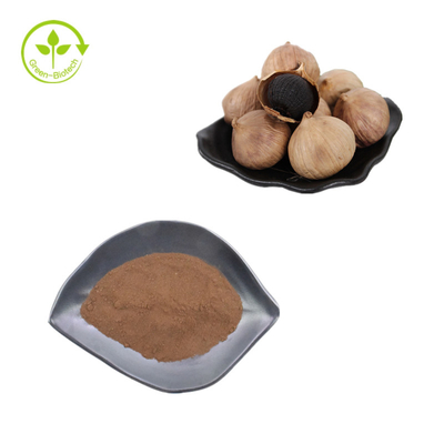 polvo del ajo del negro del sabor natural 100%Pure