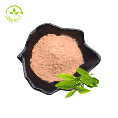 Polifenol del té, EGCG, polvo del extracto del té verde