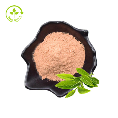 Polifenol del té, EGCG, polvo del extracto del té verde