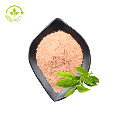 Polvo soluble en agua de alta calidad del extracto del té verde de la categoría alimenticia