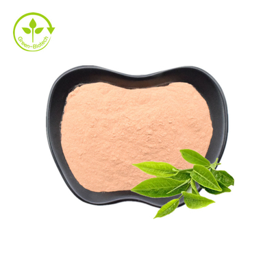 El té verde extrae el polvo el 30% natural del 20% L-Theanine