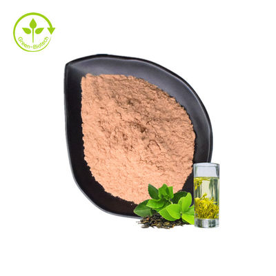 El polvo del extracto del polifenol del té del té verde tiene efecto antioxidante