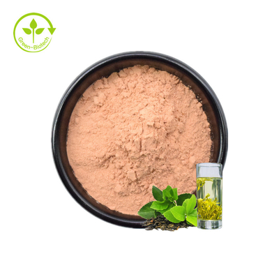 Extracto orgánico soluble en agua del té verde de la comida sana del polvo 20%Polyphenols del té verde del instante de las muestras libres del ISO