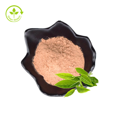 Polvo de calidad standard del extracto del té verde de la compra con hecho orgánico en venta por precios bajos de los exportadores indios