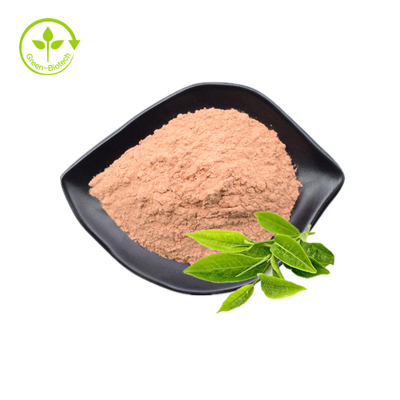 El té verde puro natural orgánico de la etiqueta privada extrae el polvo de Matcha