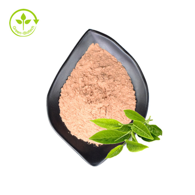 El té verde puro natural orgánico de la etiqueta privada extrae el polvo de Matcha