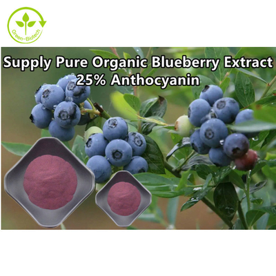 Anthocyanin 25% Polvo de arándanos extractos vegetales naturales en polvo