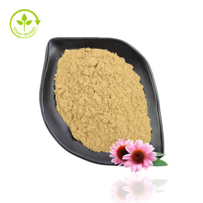 Polvo de extracto de Echinacea Purpurea de alta pureza 10% -40% Echinacoside