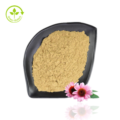 Venta caliente Echinacea Purpurea Extracto 4% -6% Polifenol 2% -4% Polvo de equinácea natural