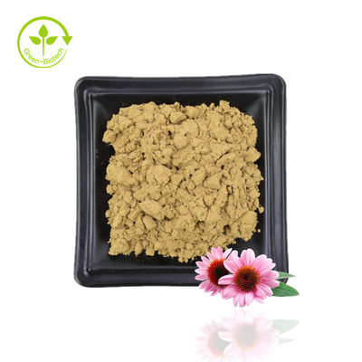 Suministro de extracto de Echinacea Purpurea Extracto de Echinacea Extracto de flor de Echinacea Purpurea natural 4% polifenoles