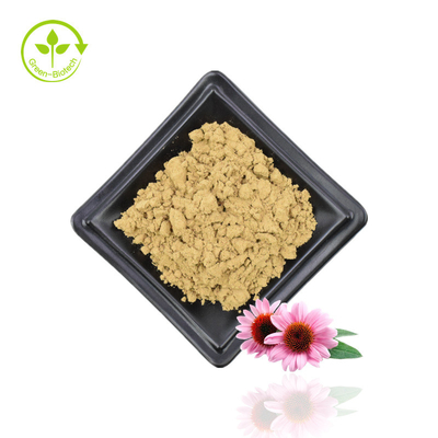 Suministro de extracto de Echinacea Purpurea Extracto de Echinacea Extracto de flor de Echinacea Purpurea natural 4% polifenoles