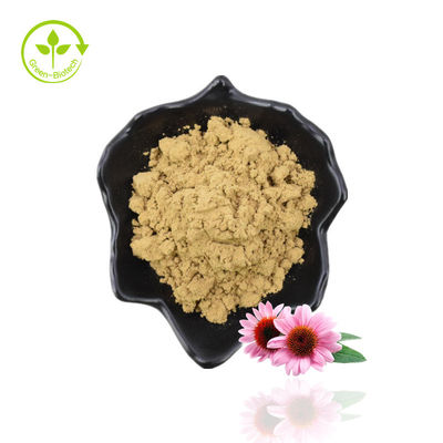Extracto natural de Echinacea Purpurea/ Polvo de extracto de Echinacea