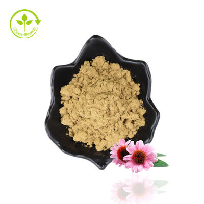 Extracto natural de Echinacea Purpurea/ Polvo de extracto de Echinacea