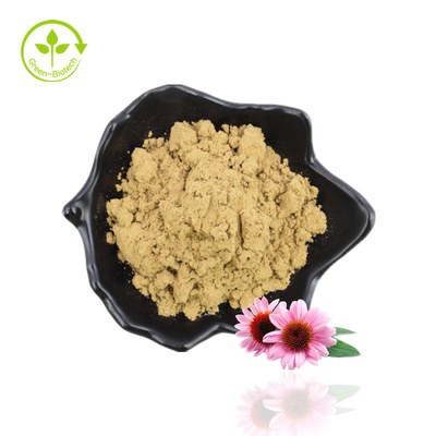 Fuente original del fabricante Extracto de raíz de equinácea purpurea de grado alimenticio de buena calidad