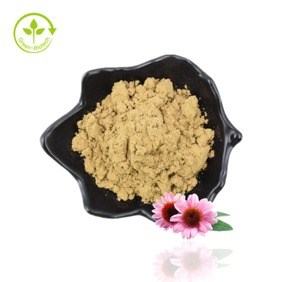 Fuente original del fabricante Extracto de raíz de equinácea purpurea de grado alimenticio de buena calidad